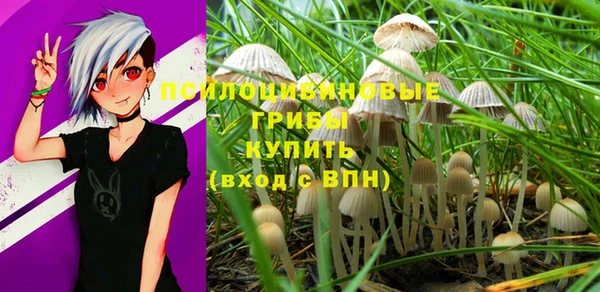 хмурый Армянск