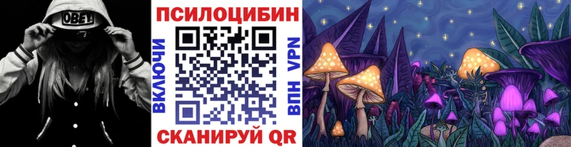 Псилоцибиновые грибы MAGIC MUSHROOMS  маркетплейс официальный сайт  Краснослободск 