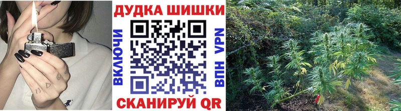 Бошки Шишки семена  Краснослободск 